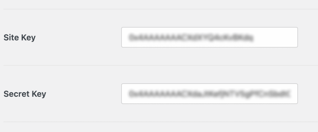 在 WPForms 设置中粘贴站点密钥和密钥值